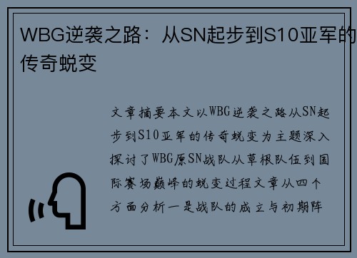 WBG逆袭之路：从SN起步到S10亚军的传奇蜕变