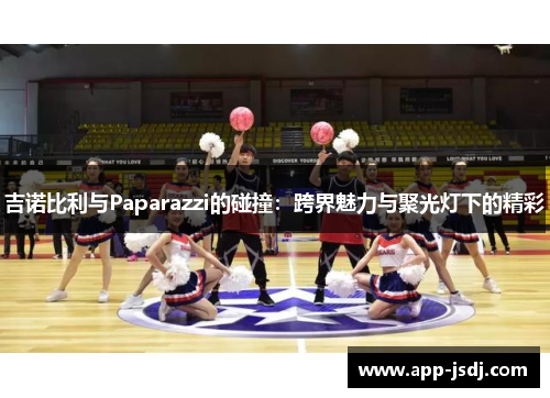 吉诺比利与Paparazzi的碰撞：跨界魅力与聚光灯下的精彩