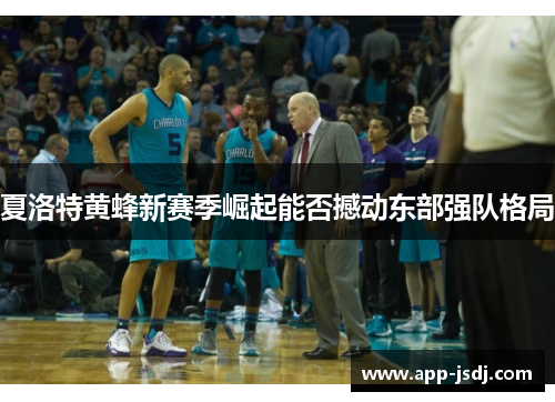 夏洛特黄蜂新赛季崛起能否撼动东部强队格局